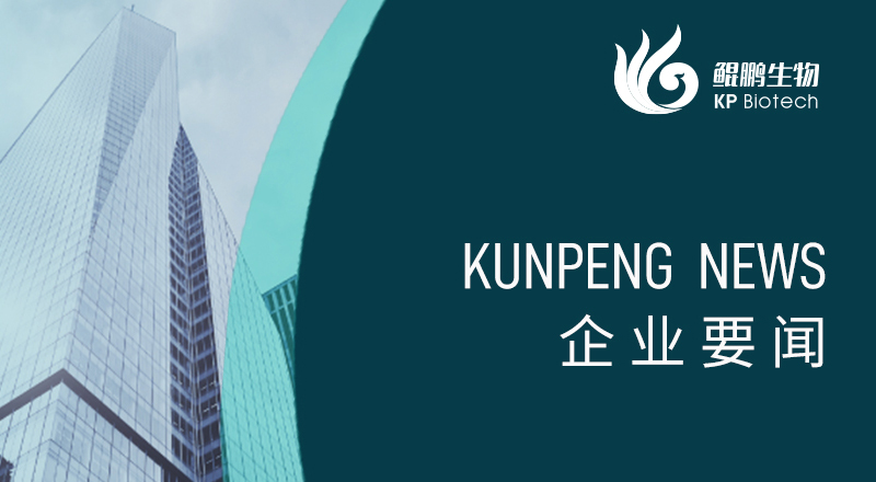 科技引领 “兔”显创新——宁波球速体育荣获“高新技术企业”及“创新型中小企业”认定