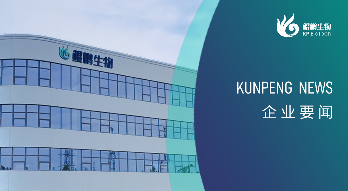 宁波球速体育新添两项政府荣誉认定 创新发展再获认可